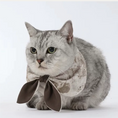 Load image into Gallery viewer, Pet Retro Dyed Reversible Bow - WizzPaw