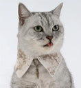 Load image into Gallery viewer, Pet Retro Dyed Shirt Collar - WizzPaw