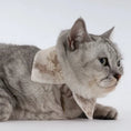 Load image into Gallery viewer, Pet Retro Dyed Shirt Collar - WizzPaw