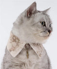 Load image into Gallery viewer, Pet Retro Dyed Shirt Collar - WizzPaw