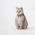 Load image into Gallery viewer, Pet Retro Pleated Shirt Collar - WizzPaw