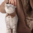 Load image into Gallery viewer, Pet Retro Pleated Shirt Collar - WizzPaw