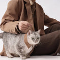 Load image into Gallery viewer, Pet Retro Pleated Shirt Collar - WizzPaw