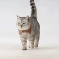 Load image into Gallery viewer, Pet Retro Striped Shirt Collar - WizzPaw