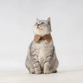 Load image into Gallery viewer, Pet Retro Striped Shirt Collar - WizzPaw