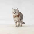 Load image into Gallery viewer, Pet Retro Striped Shirt Collar - WizzPaw