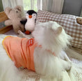 Load image into Gallery viewer, Pet Rolled Edge Knit Tank Top - WizzPaw