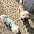 Load image into Gallery viewer, Pet Rolled Edge Knit Tank Top - WizzPaw