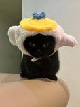 Load image into Gallery viewer, Pet teapot plush hood - WizzPaw