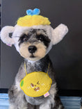 Load image into Gallery viewer, Pet teapot plush hood - WizzPaw