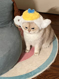 Load image into Gallery viewer, Pet teapot plush hood - WizzPaw