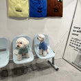 Load image into Gallery viewer, Pet Thermal Base Layer Turtleneck - WizzPaw