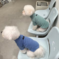 Load image into Gallery viewer, Pet Thermal Base Layer Turtleneck - WizzPaw