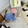 Load image into Gallery viewer, Pet Thermal Base Layer Turtleneck - WizzPaw