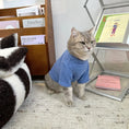 Load image into Gallery viewer, Pet Thermal Base Layer Turtleneck - WizzPaw
