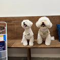 Load image into Gallery viewer, Pet toggle button vest - WizzPaw