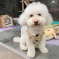 Load image into Gallery viewer, Pet Trimmed Cotton Jacket - WizzPaw