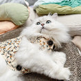 Load image into Gallery viewer, Pet Trimmed Cotton Jacket - WizzPaw