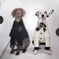 Load image into Gallery viewer, Pet Two-Tone Colorblock Tie-Up Faux Two-Piece Outfit - WizzPaw