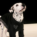 Load image into Gallery viewer, Pet Two-Tone Colorblock Tie-Up Faux Two-Piece Outfit - WizzPaw