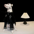 Load image into Gallery viewer, Pet Two-Tone Colorblock Tie-Up Faux Two-Piece Outfit - WizzPaw