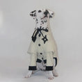 Load image into Gallery viewer, Pet Two-Tone Colorblock Tie-Up Faux Two-Piece Outfit - WizzPaw