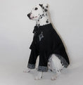 Load image into Gallery viewer, Pet Two-Tone Colorblock Tie-Up Faux Two-Piece Outfit - WizzPaw