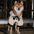 Load image into Gallery viewer, Pet Two-Tone Colorblock Tie-Up Faux Two-Piece Outfit - WizzPaw