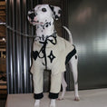 Load image into Gallery viewer, Pet Two-Tone Colorblock Tie-Up Faux Two-Piece Outfit - WizzPaw