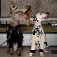 Load image into Gallery viewer, Pet Two-Tone Colorblock Tie-Up Faux Two-Piece Outfit - WizzPaw