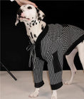 Load image into Gallery viewer, Pet Warm Striped Robe - WizzPaw
