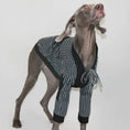 Load image into Gallery viewer, Pet Warm Striped Robe - WizzPaw