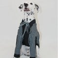 Load image into Gallery viewer, Pet Warm Striped Robe - WizzPaw