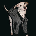 Load image into Gallery viewer, Pet Warm Striped Robe - WizzPaw