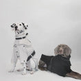 Load image into Gallery viewer, Pet Waterproof Two-Tone Windbreaker - Thick and Thin Versions - WizzPaw