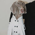 Load image into Gallery viewer, Pet Waterproof Two-Tone Windbreaker - Thick and Thin Versions - WizzPaw