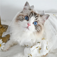 Load image into Gallery viewer, Pet Wedding Veil - WizzPaw