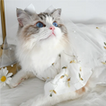 Load image into Gallery viewer, Pet Wedding Veil - WizzPaw