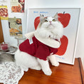 Load image into Gallery viewer, Pet Wool Dress - WizzPaw