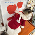 Load image into Gallery viewer, Pet Wool Dress - WizzPaw