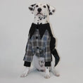 Load image into Gallery viewer, Pet Woolen Plaid Warm Coat - WizzPaw