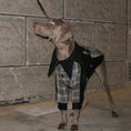 Load image into Gallery viewer, Pet Woolen Plaid Warm Coat - WizzPaw