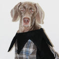 Load image into Gallery viewer, Pet Woolen Plaid Warm Coat - WizzPaw