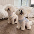 Load image into Gallery viewer, Retro Print Pet Vest - WizzPaw