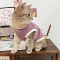 Load image into Gallery viewer, Retro Print Pet Vest - WizzPaw