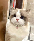 Load image into Gallery viewer, Star-Pet Pearl Necklace Collar - WizzPaw
