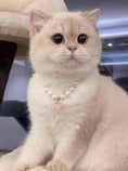 Load image into Gallery viewer, Star-Pet Pearl Necklace Collar - WizzPaw