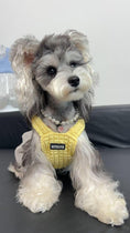 Load image into Gallery viewer, Star-Pet Pearl Necklace Collar - WizzPaw