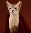 Load image into Gallery viewer, Starflower-Pet Pearl Necklace Collar - WizzPaw