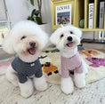 Load image into Gallery viewer, Striped Pet T-Shirt - WizzPaw